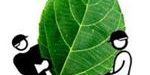 emplea-verde_0 emplea-verde_0